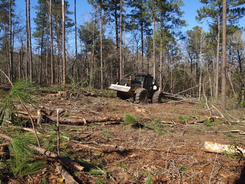 Land Clearing Service