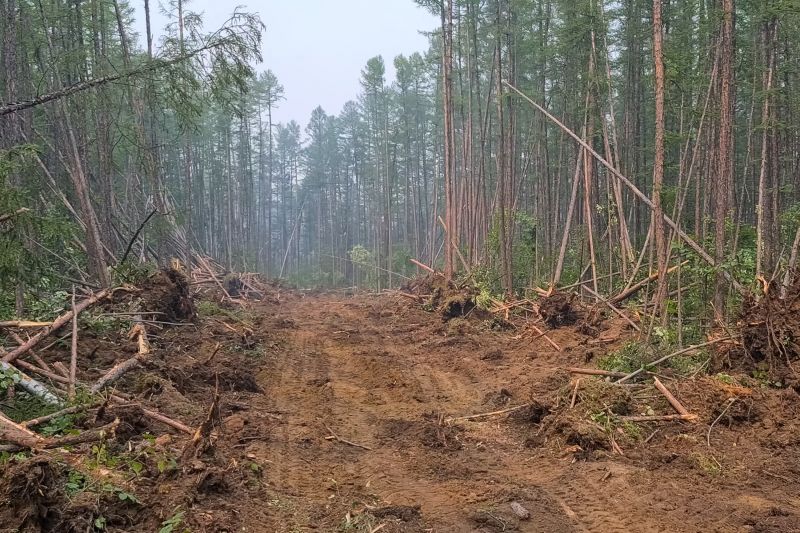 Land Clearing in Utah County, UT