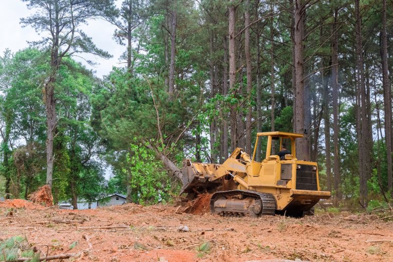 Land Clearing Service
