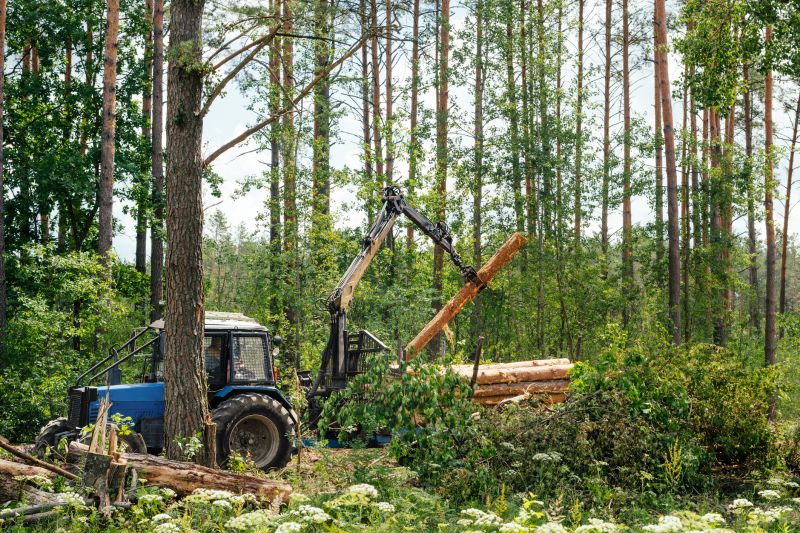Forestry and Logging Companies