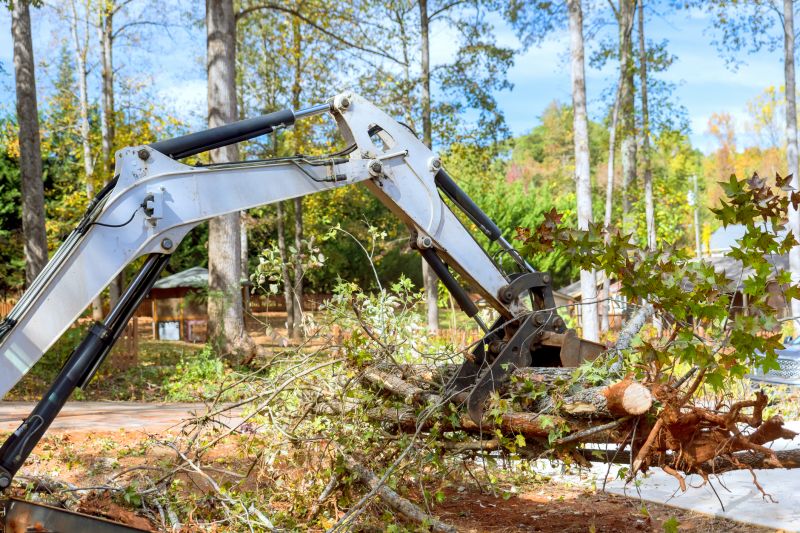 Increase Your Land Clearing Service Business with an AI Driven, Targeted Website