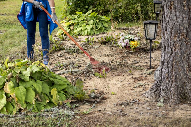 Local Land Clearing Service pros at work