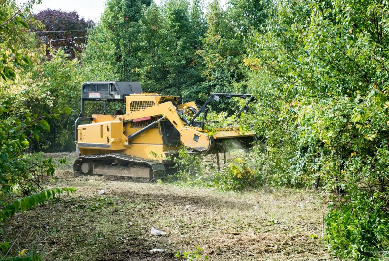 Land Clearing Services Overview