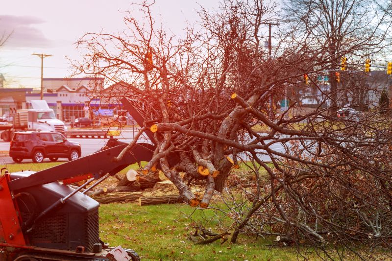 Land Clearing Service Promotions